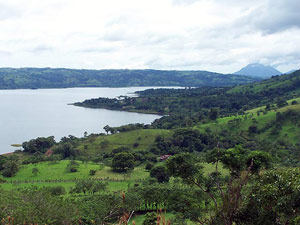 Arenal Volcano can be seen from many of the lots.